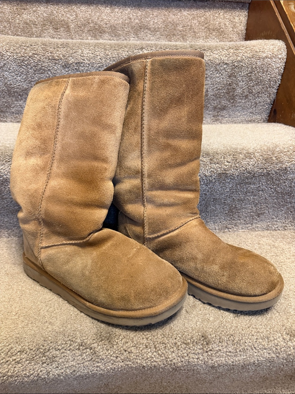 UGG Chestnut Suede Tall Boots - USED